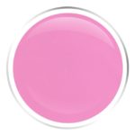 Silene