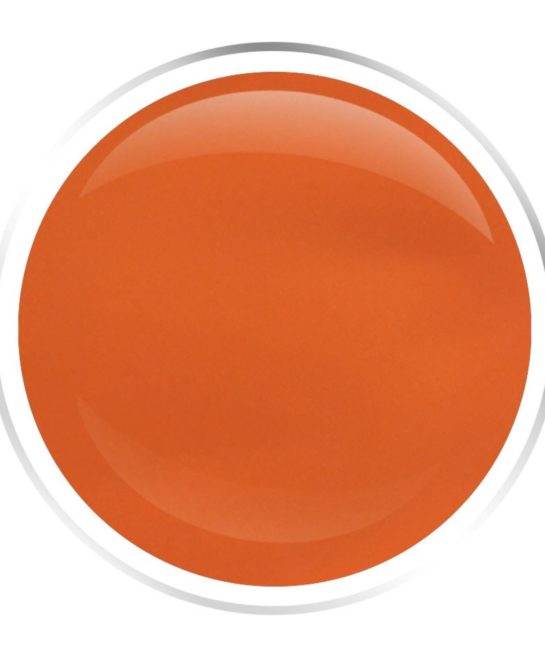 Apricot