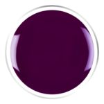 Azian Plum