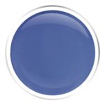 Blue Bird