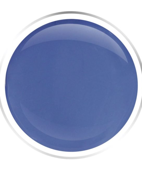 Blue Bird