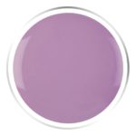 Heliotrope