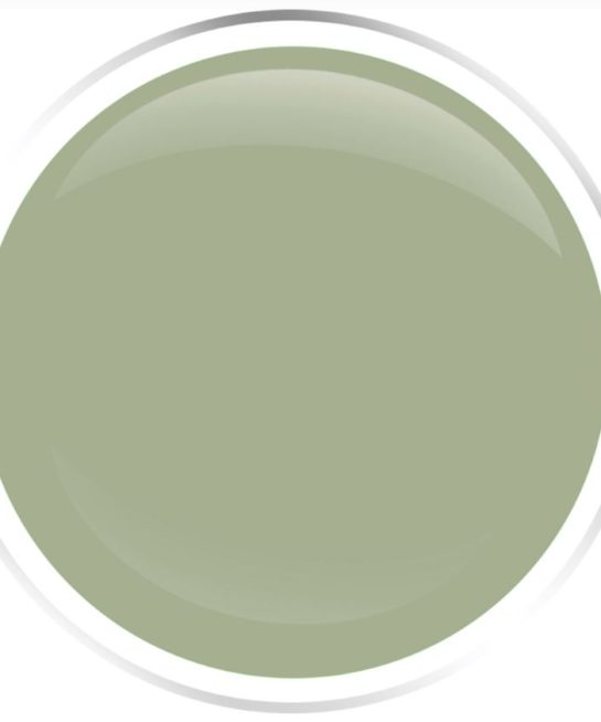 Alek