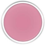 Chanel rose