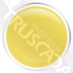 Medallion