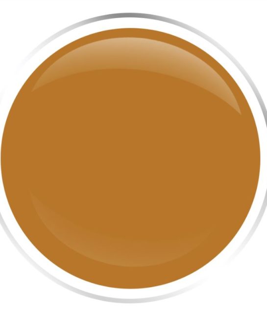 Pumpkin Pie